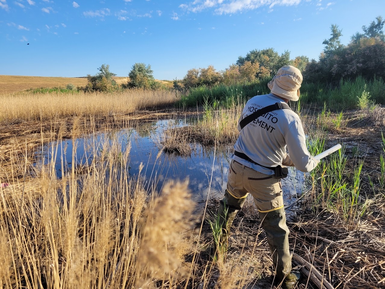 A person in waders, holding equipment, stands by a small pond in a grassy wetland area.