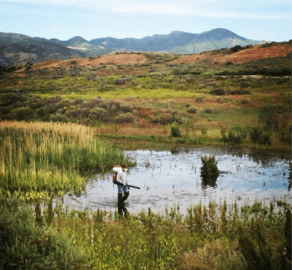 A person in a hat stands in a pond surrounded by grasslands with mountains in the background.