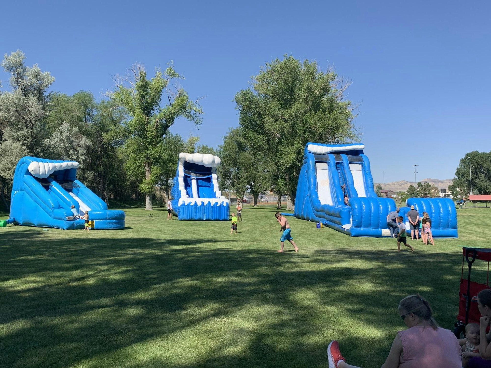 Inflatable water slides on grass with people enjoying a sunny day at the park.