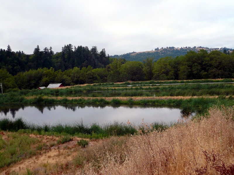 photo of ponds 1 and 2