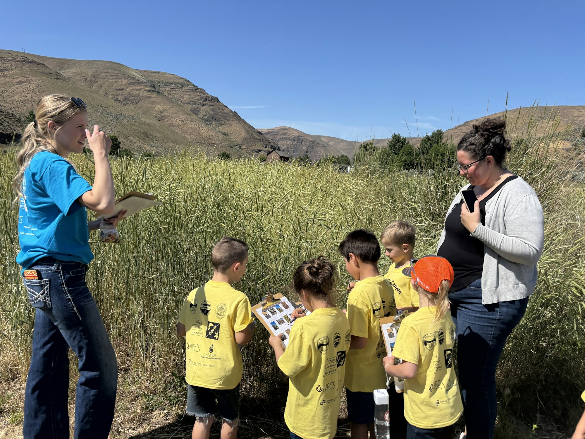 A group of kids in yellow shirts and two adults are outdoors, examining plants with clipboards in a field.