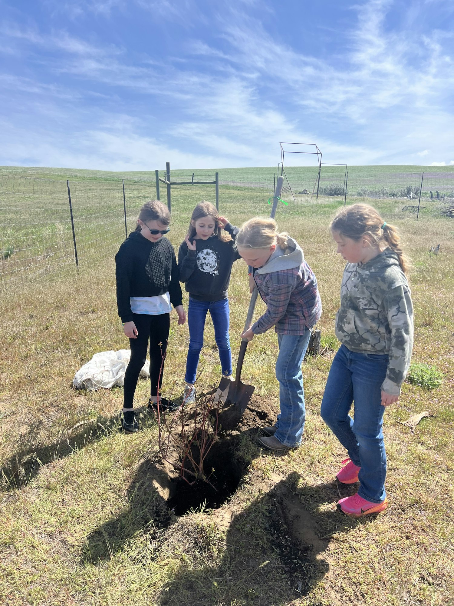 A group of children is gathered outdoors, focused on a hole in the ground, likely preparing to plant something.