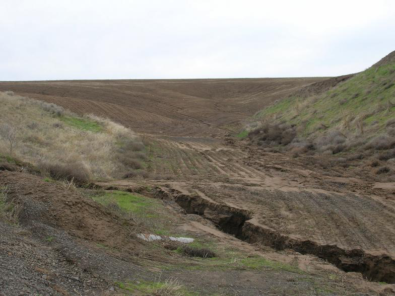 May contain: soil, slope, ground, nature, outdoors, wilderness, and land