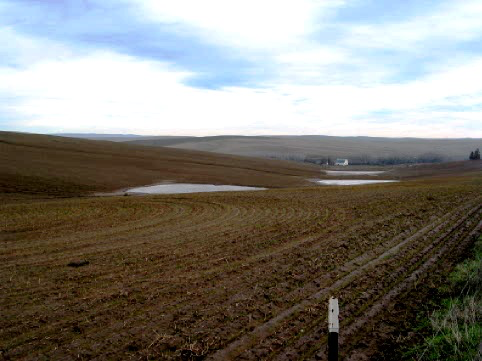 May contain: slope, land, nature, outdoors, soil, reservoir, and water