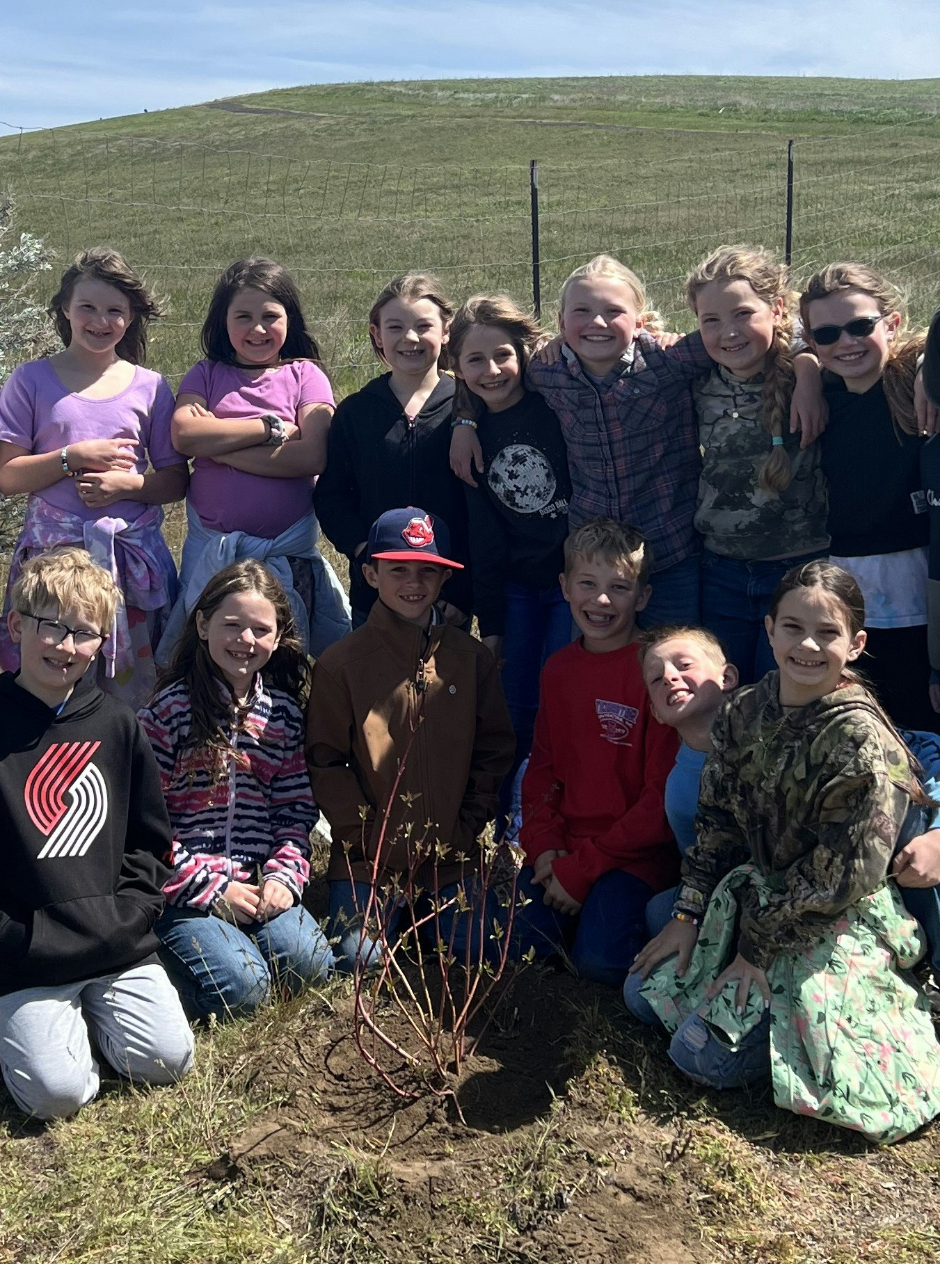 A group of children poses together outdoors, smiling around a newly planted small bush in a grassy field.