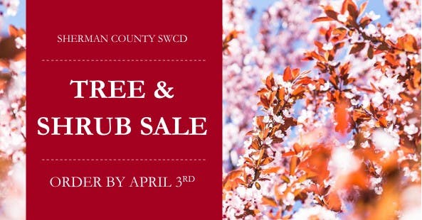 Sherman County SWCD is holding a tree and shrub sale. Orders must be placed by April 3rd.