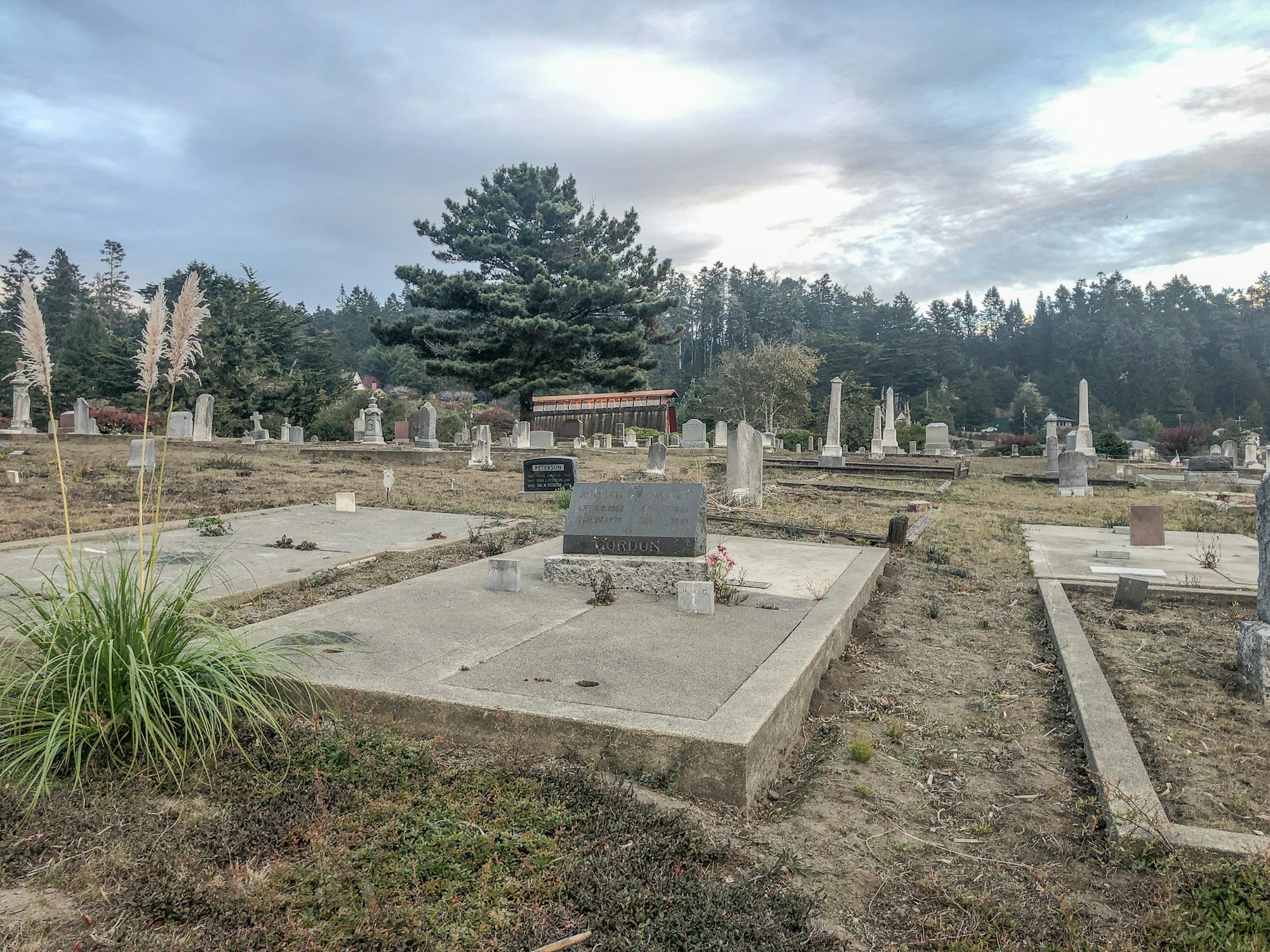 Photo of tombstones and a graveyard with beautiful clouds and a skyline created by trees - this photo also has a few stalks of pampas grass