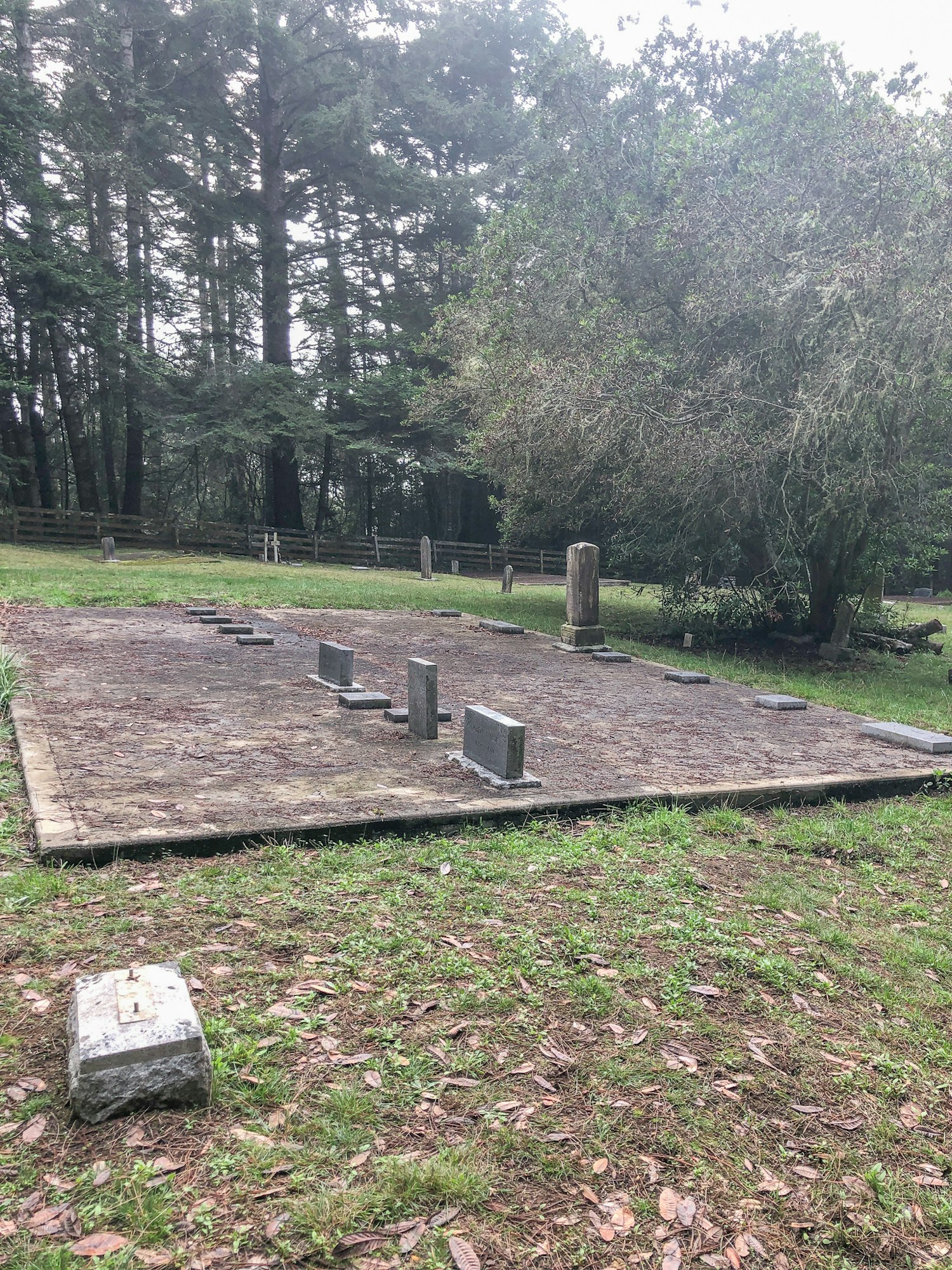 May contain: ground and tomb