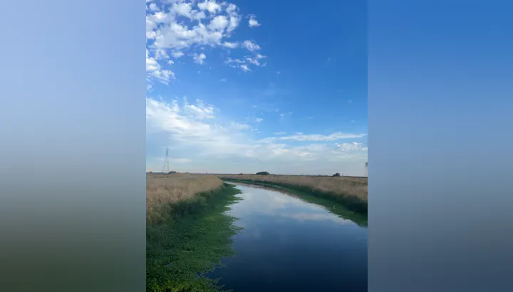 A serene landscape featuring a blue sky with clouds, a calm body of water reflecting greenery and grass, and power lines in the background.