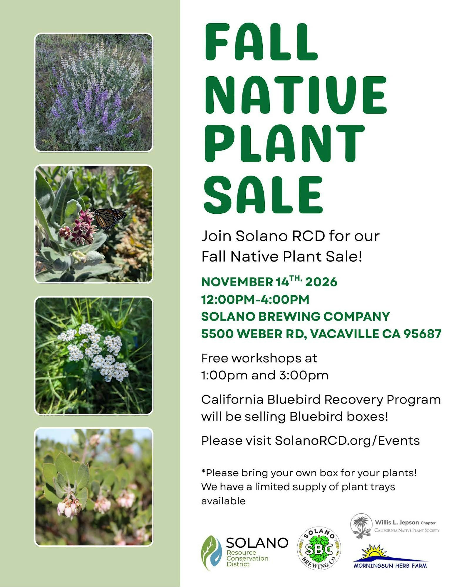Event poster for a Fall Native Plant Sale on Nov 14, 2026, at Solano Brewing Company, featuring workshops and plant sales.