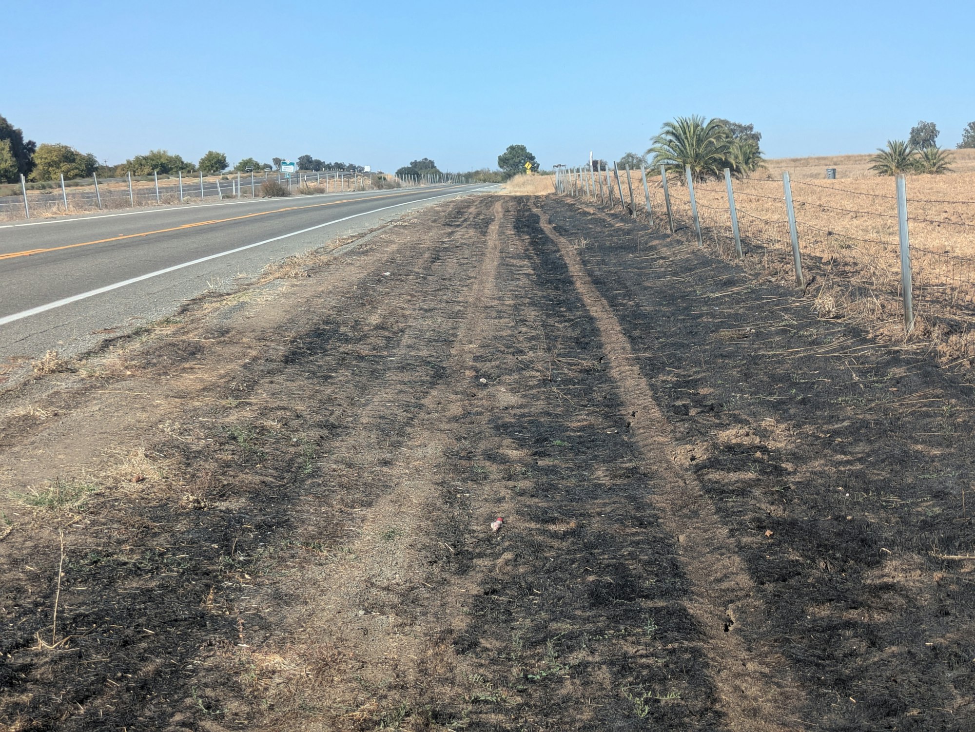The image shows a burnt area along a road with blackened soil, sparse vegetation, and a fence lined with palm trees in the distance.