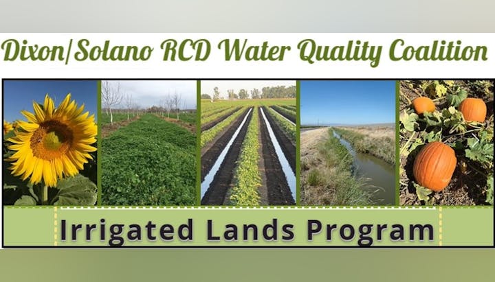 The image promotes the Irrigated Lands Program by Dixon/Solano RCD Water Quality Coalition, featuring sunflowers and various crops.