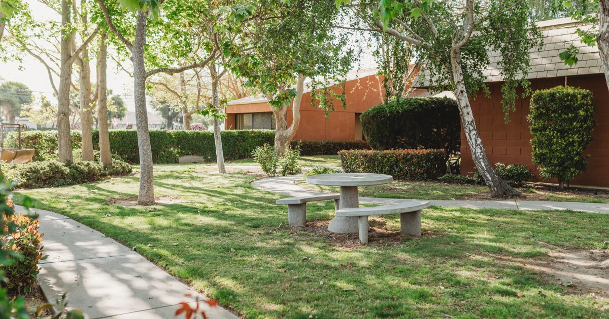 A serene outdoor area with trees, grass, a circular stone table, and benches, creating a relaxing space.