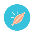 The image features a stylized illustration of a muscle, set against a light blue background.