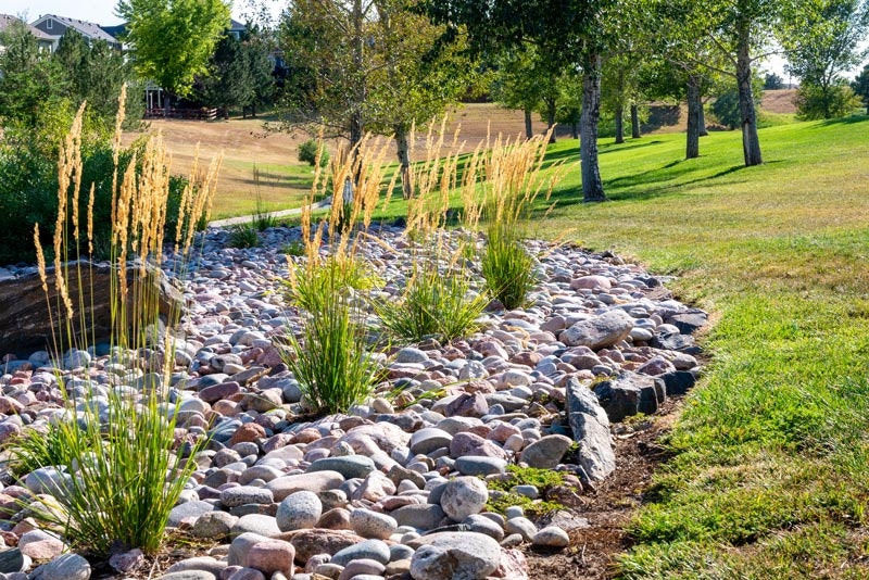 A landscaped area with rocks, ornamental grasses, and trees on a sunny day.