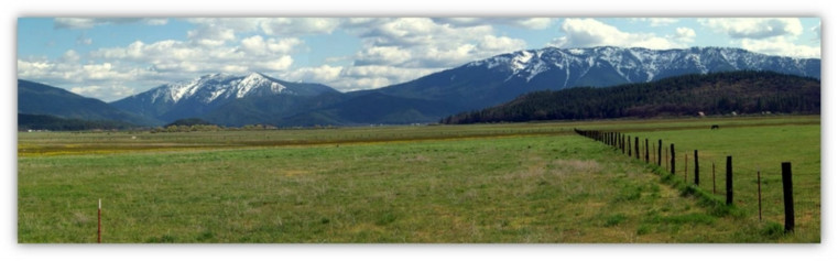 May contain: nature, outdoors, field, and land