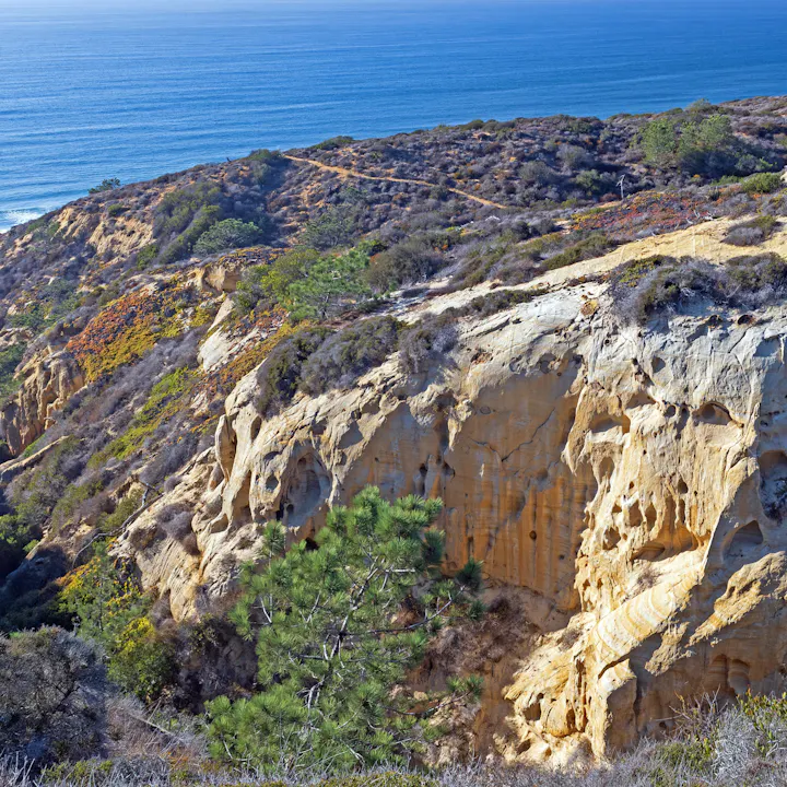 A scenic coastal view featuring rugged cliffs, greenery, and the ocean in the background. Trails weave through the landscape.