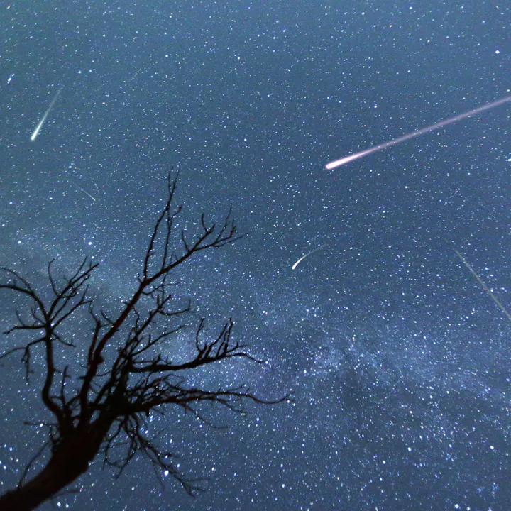 A starry night sky with a tree silhouette and multiple meteors streaking across the frame.