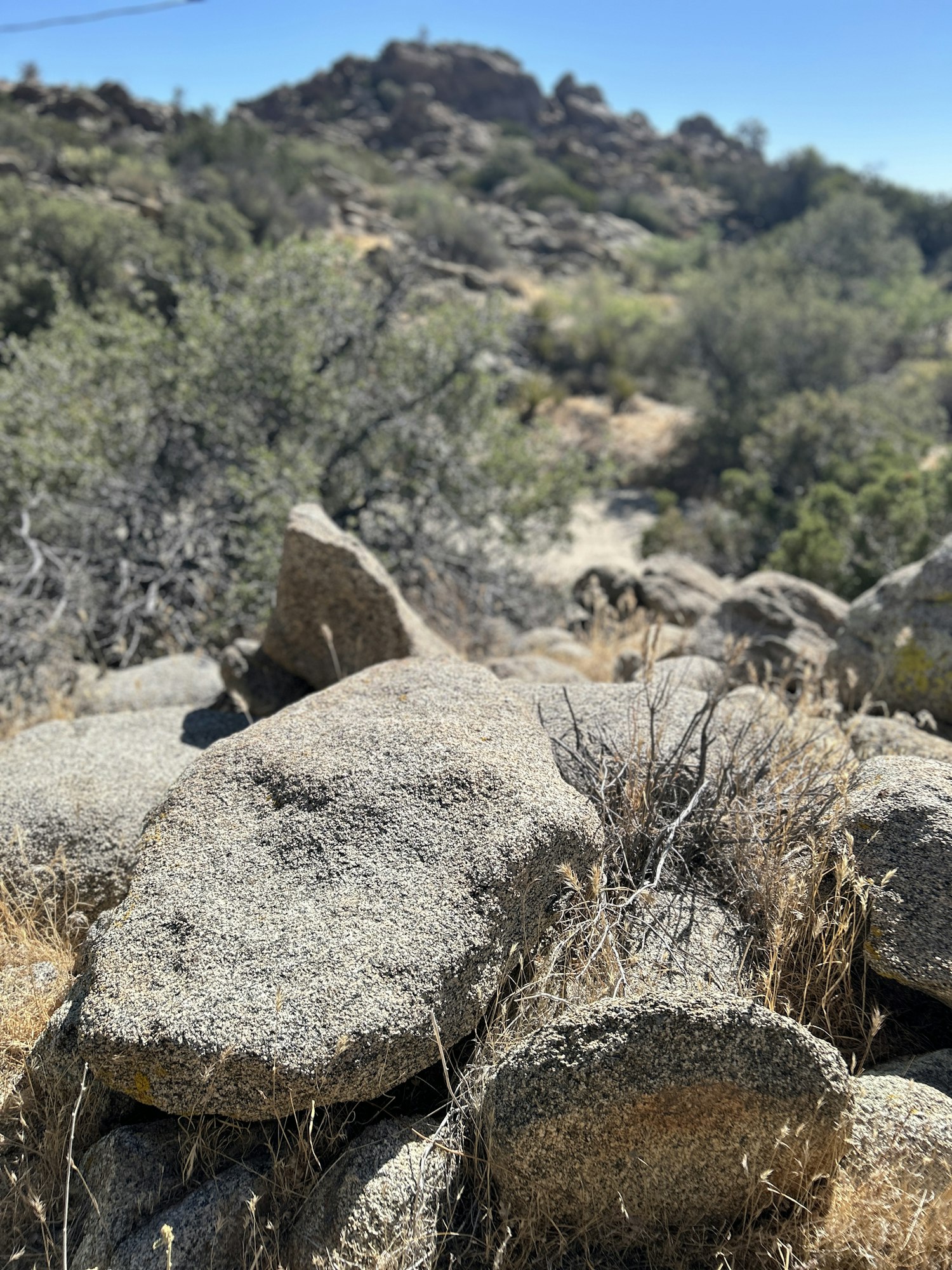 A rocky landscape with various boulders and sparse vegetation under a clear blue sky.