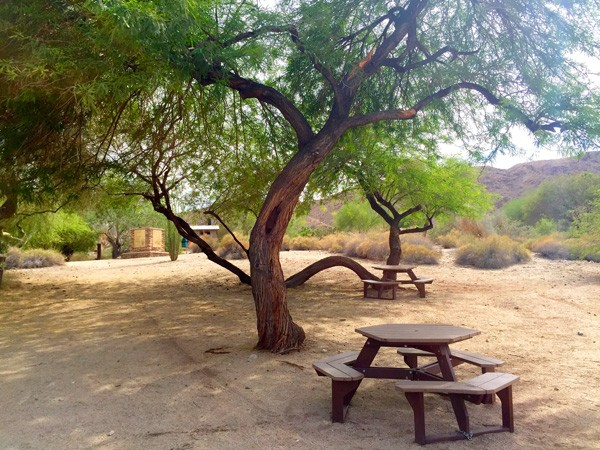 A tranquil outdoor scene featuring trees and picnic tables on sandy ground, surrounded by sparse vegetation and hills.