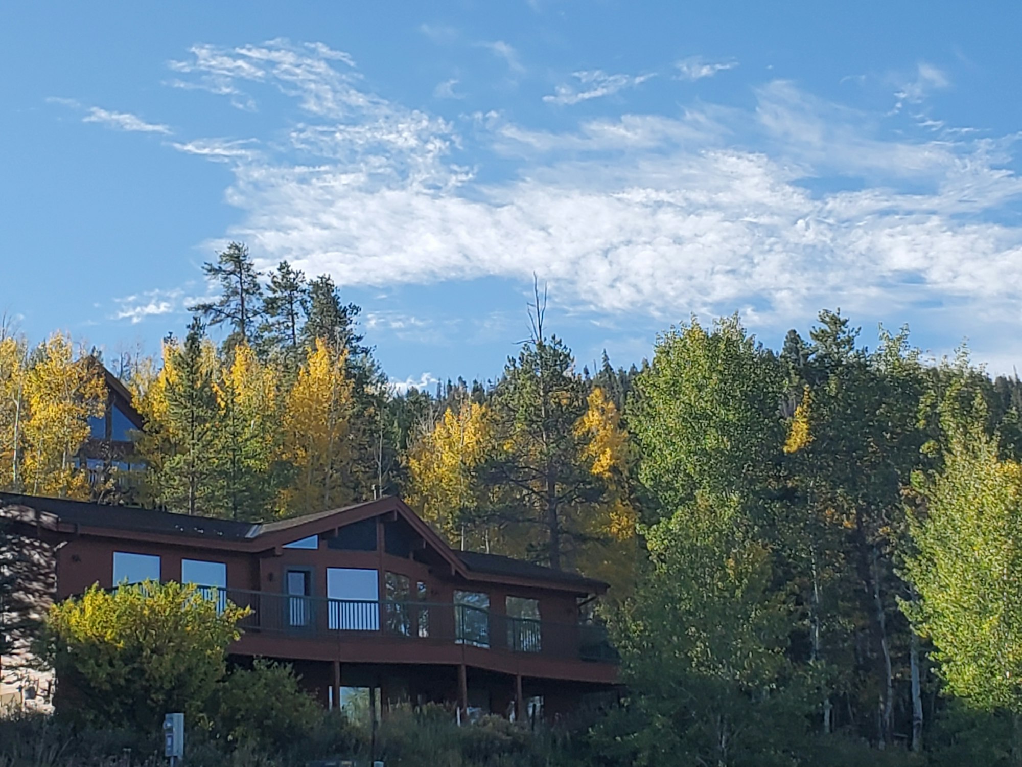 trees, houses, autumn leaves, blue sky with wispy clouds