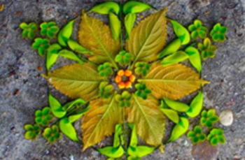 An artistic arrangement of leaves, flowers, and seeds, creating a mandala-like design on a textured surface.