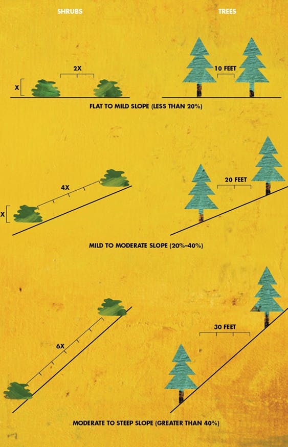 Clearance guidelines for shrubs and trees on slopes: flat to mild (less 20%), mild to moderate (20-40%), moderate to steep (>40%).