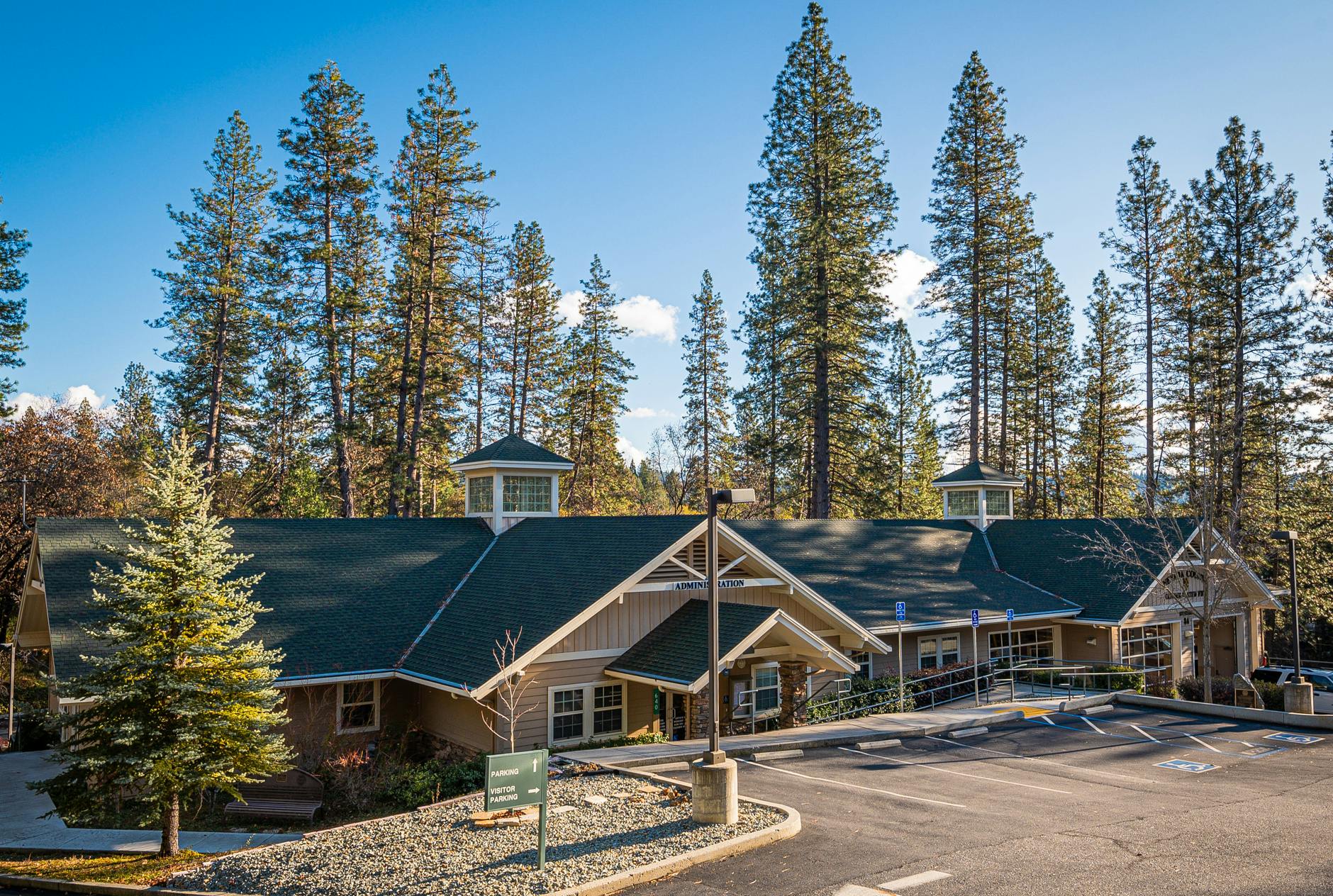 A lodge-style building surrounded by tall pine trees and a clear blue sky.