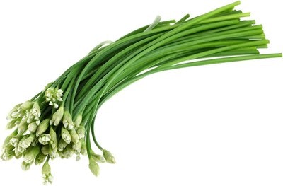 A bunch of fresh garlic chives with white buds on green stems.