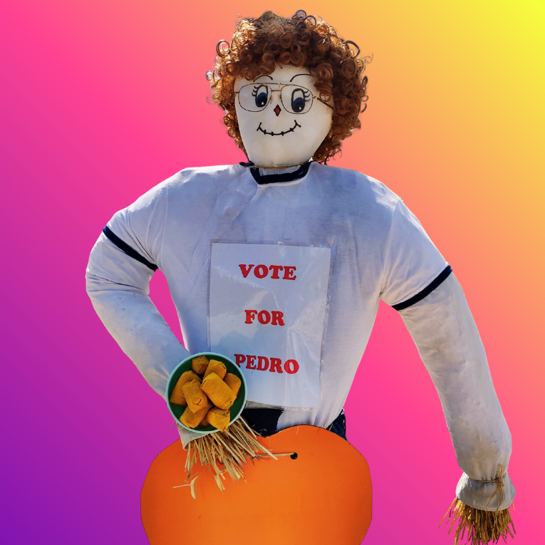 A scarecrow with curly hair, glasses, and a "Vote for Pedro" sign, holding corn in front of a vibrant gradient background.