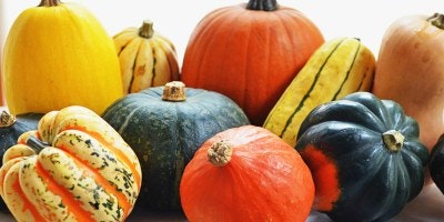 A variety of colorful squashes and pumpkins, including orange, green, and striped types, arranged together.