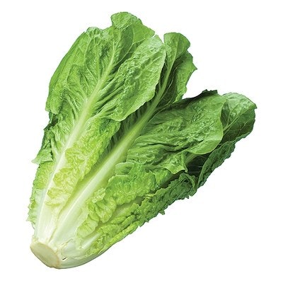 A fresh head of romaine lettuce with vibrant green leaves.