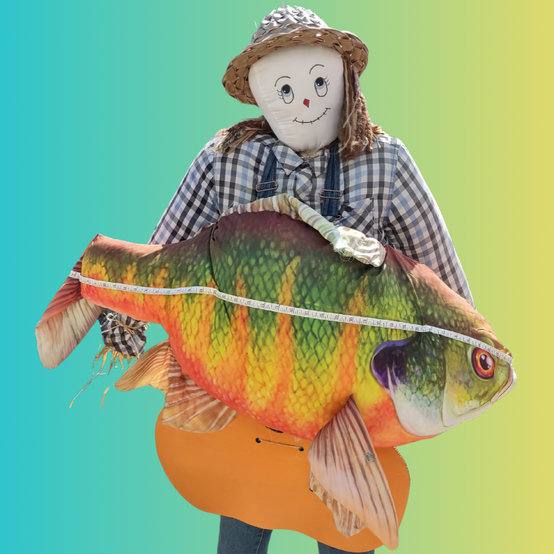 A scarecrow with a smiley face, wearing a hat and plaid shirt, holding a large colorful fish plush toy, against a gradient background.