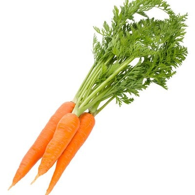 A bunch of fresh carrots with green leafy tops.