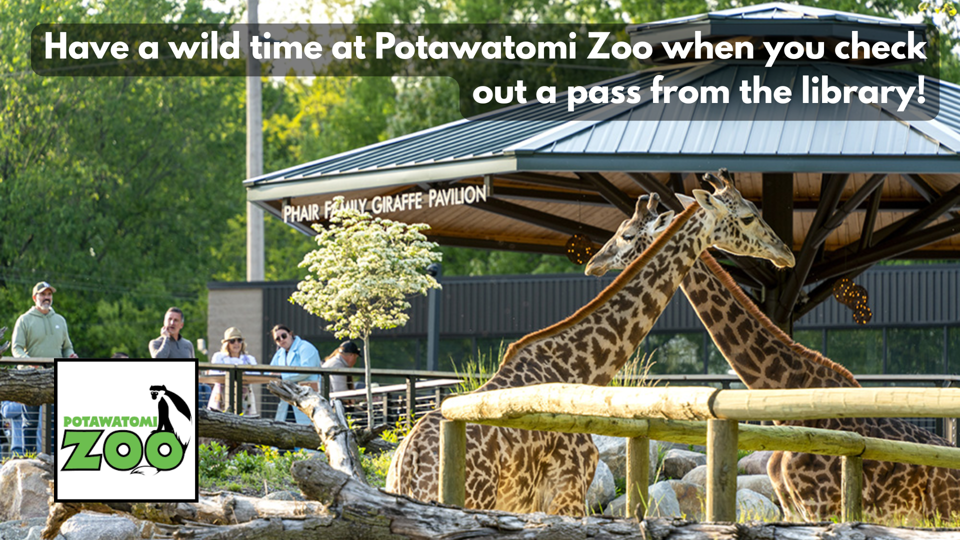 Giraffes at Potawatomi Zoo with people watching and a promo for library zoo passes.