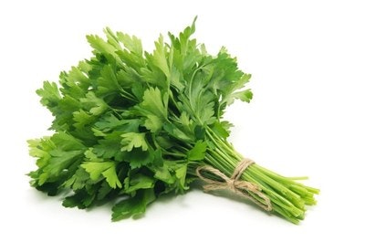 A bunch of fresh parsley tied together with a string.