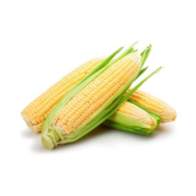 Several ears of corn with husks partially peeled back.