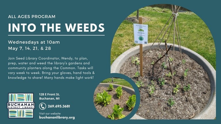 Flyer for "Into the Weeds," a gardening program at Buchanan Library, Wednesdays at 10am in May. Bring gloves and tools.
