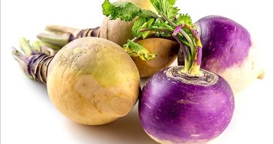 Turnips and rutabagas with leafy greens on a white background.