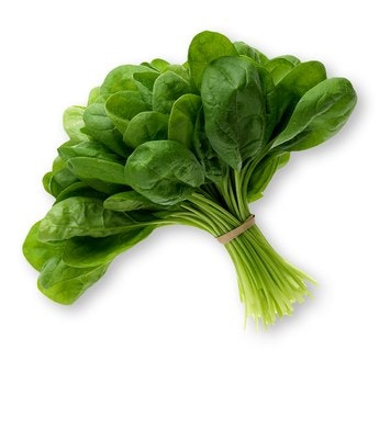 A bunch of fresh green spinach leaves with stems, held together by a rubber band.