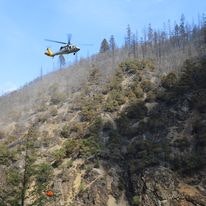 May contain: slope, wilderness, nature, outdoors, vegetation, and plant