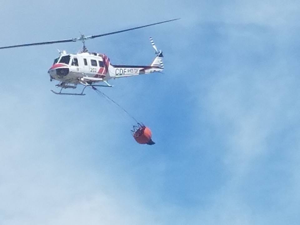 May contain: transportation, aircraft, helicopter, vehicle, flying, bird, and animal