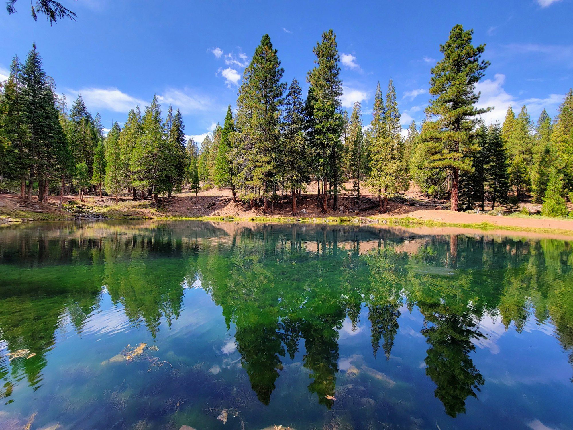 A serene lake reflecting tall evergreen trees and a blue sky with some clouds.