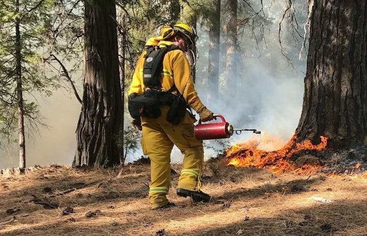 A firefighter in protective gear extinguishes a small fire in a forest area, surrounded by smoke and trees.
