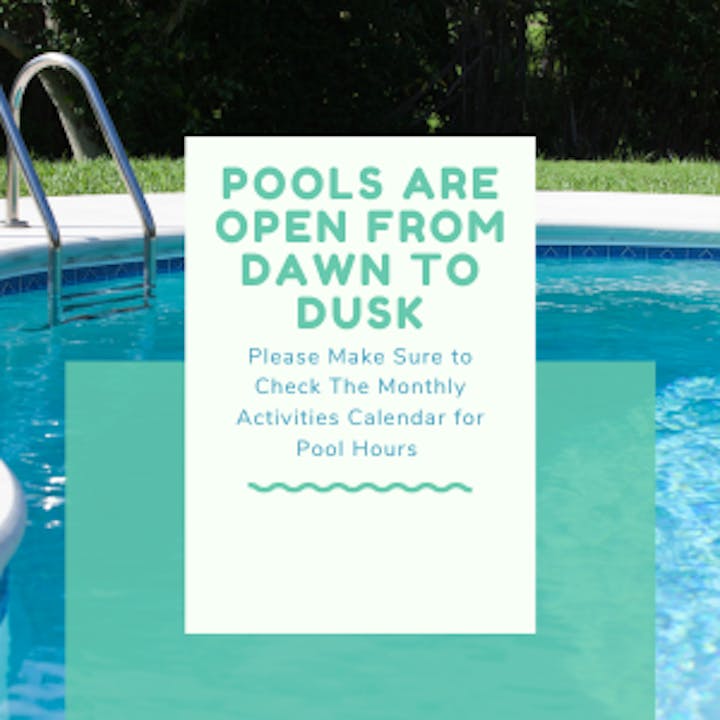 May contain: pool, water, advertisement, poster, and swimming pool