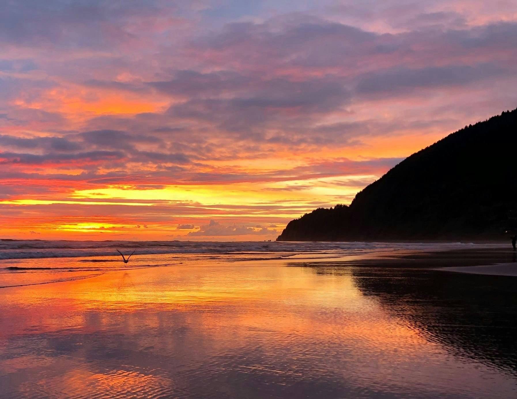 A vibrant sunset over the ocean with a bird in flight and a silhouetted hill on the right.