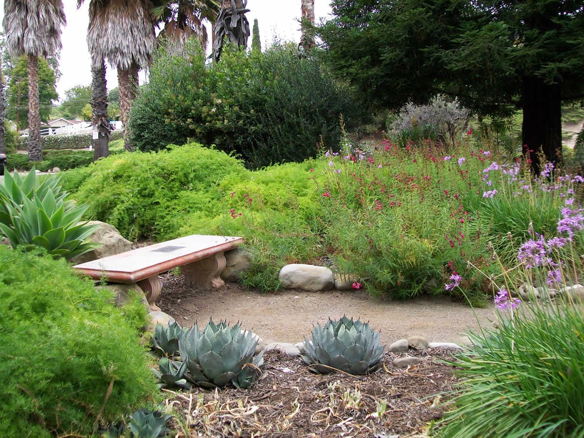 May contain: garden, nature, outdoors, herbal, herbs, plant, vegetation, grass, park, bench, furniture, tree, backyard, yard, potted plant, agavaceae, land, and woodland