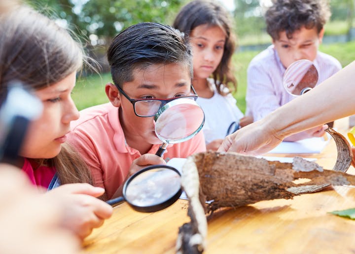 Children examining nature with magnifying glasses, an adult guides them.