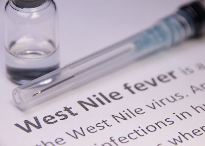 A vial, syringe, and document mentioning "West Nile fever" and "West Nile virus."