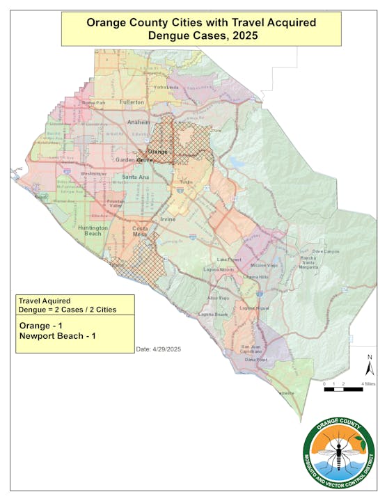 Map of Orange County showing two travel-acquired dengue cases: 1 in Orange, 1 in Newport Beach. Dated 4/29/2025.